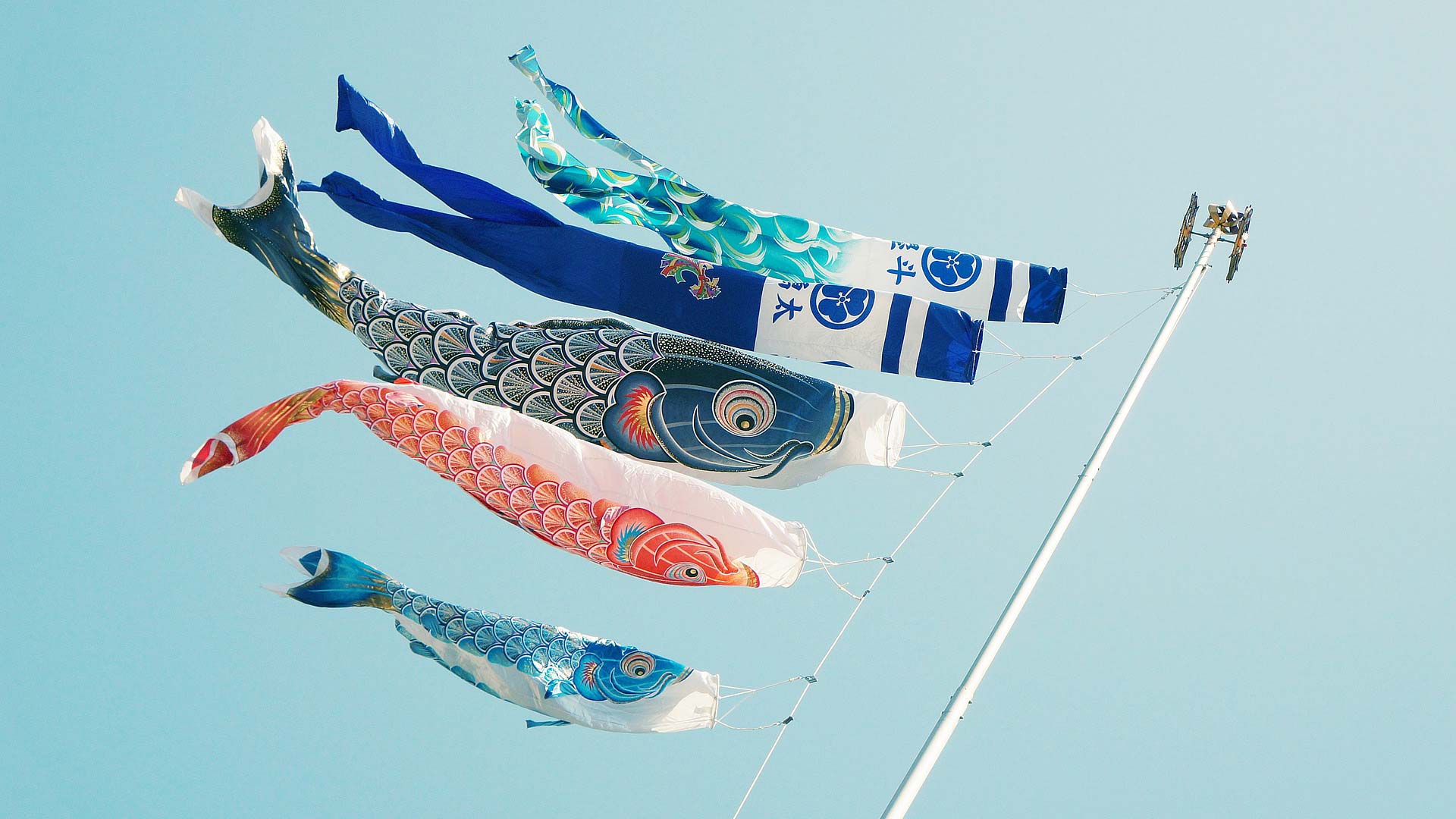 koinobori – fliegende Karpfendrachen