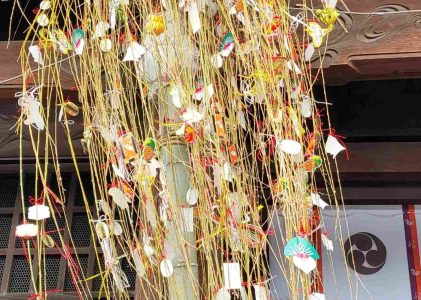 Tsumamizaiku-Year 2026